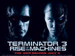 terminator302.jpg (50245 bytes)