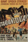tarantula01.jpg (138213 bytes)